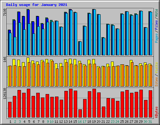 Daily usage for January 2021