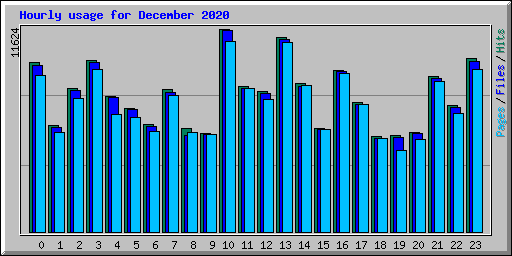 Hourly usage for December 2020